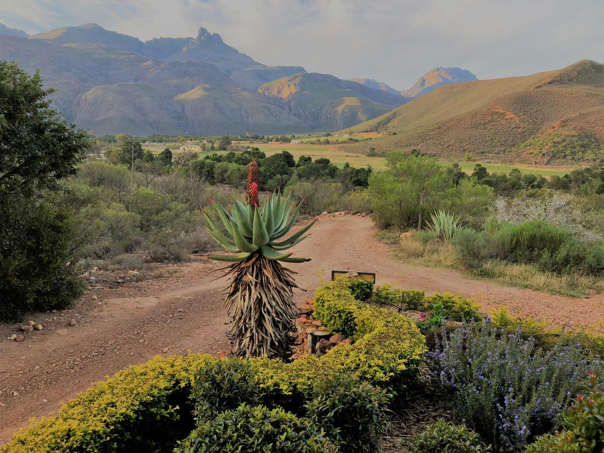 Hotel Oaksrest Vineyards Guest Farm Ladismith Zewnętrze zdjęcie